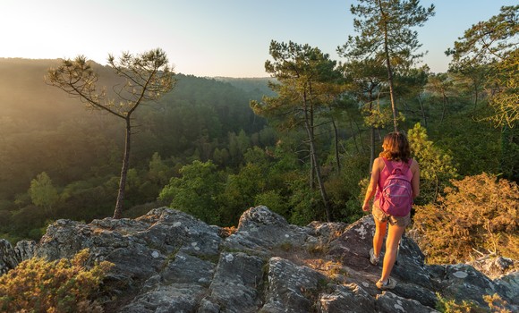 Saint-Dolay : mise au vert dans le Morbihan 💚
