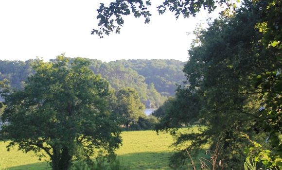 Marzan, en bords de Vilaine