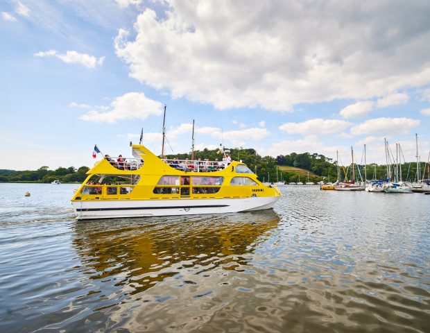 Vedettes Jaunes La Roche Bernard Morbihan