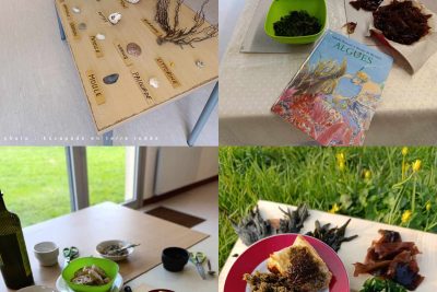 Atelier apéritif iodé autour des algues