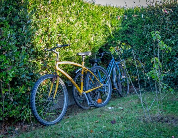 Le Luherne Damgan Morbihan