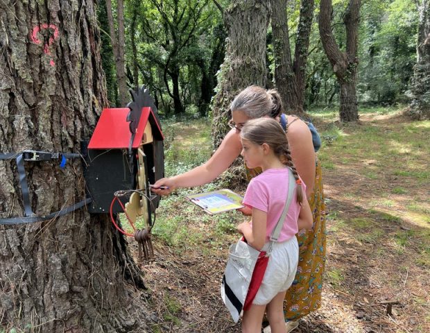 Celt aventure Sarzeau Morbihan