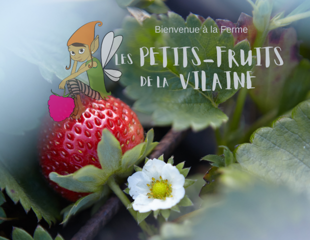 Les petits fruits de la Vilaine – Nivillac – Morbihan