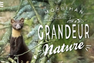 A la découverte des champignons