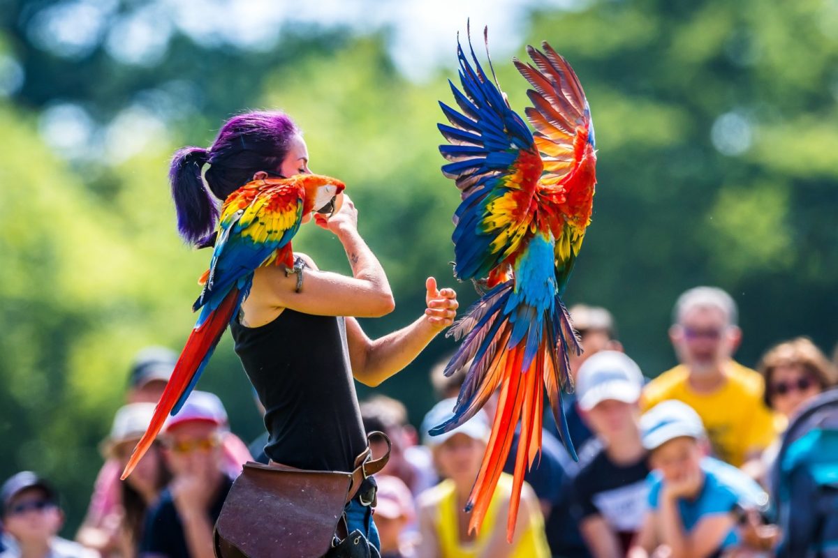 Branfere-le-Guerno-Morbihan