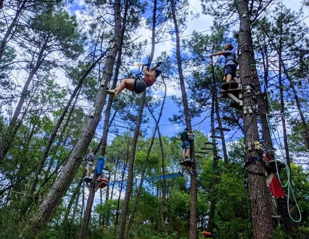 monkey forest – saint-molf-loire-atlantique