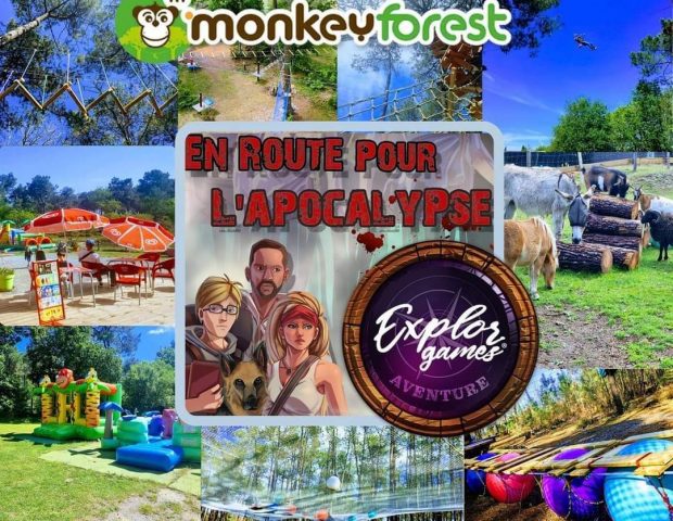 monkey forest – saint-molf-loire-atlantique