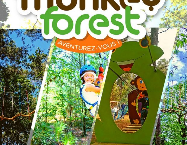monkey forest – saint-molf-loire-atlantique