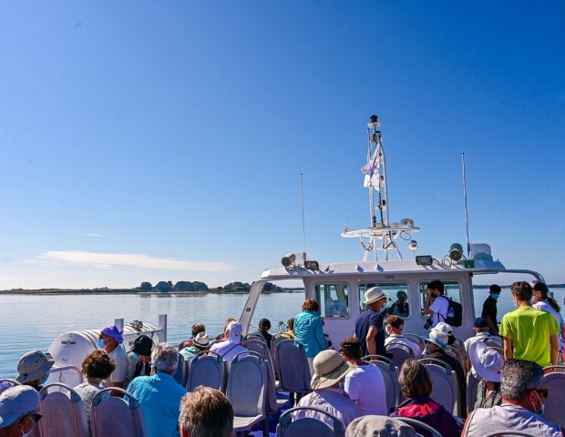 Compagnie du Golfe Vannes Morbihan