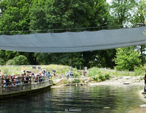 Branfere-le-Guerno-Morbihan