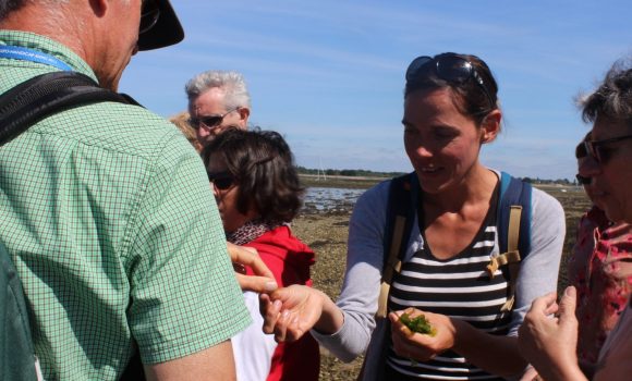 On a testé les algues comestibles en Bretagne ! (Spoiler : on adore)