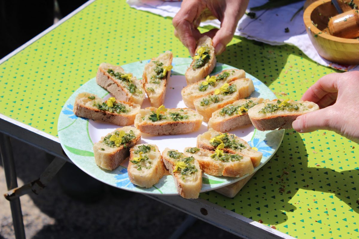 J'ai testé les plantes comestibles Damgan Morbihan