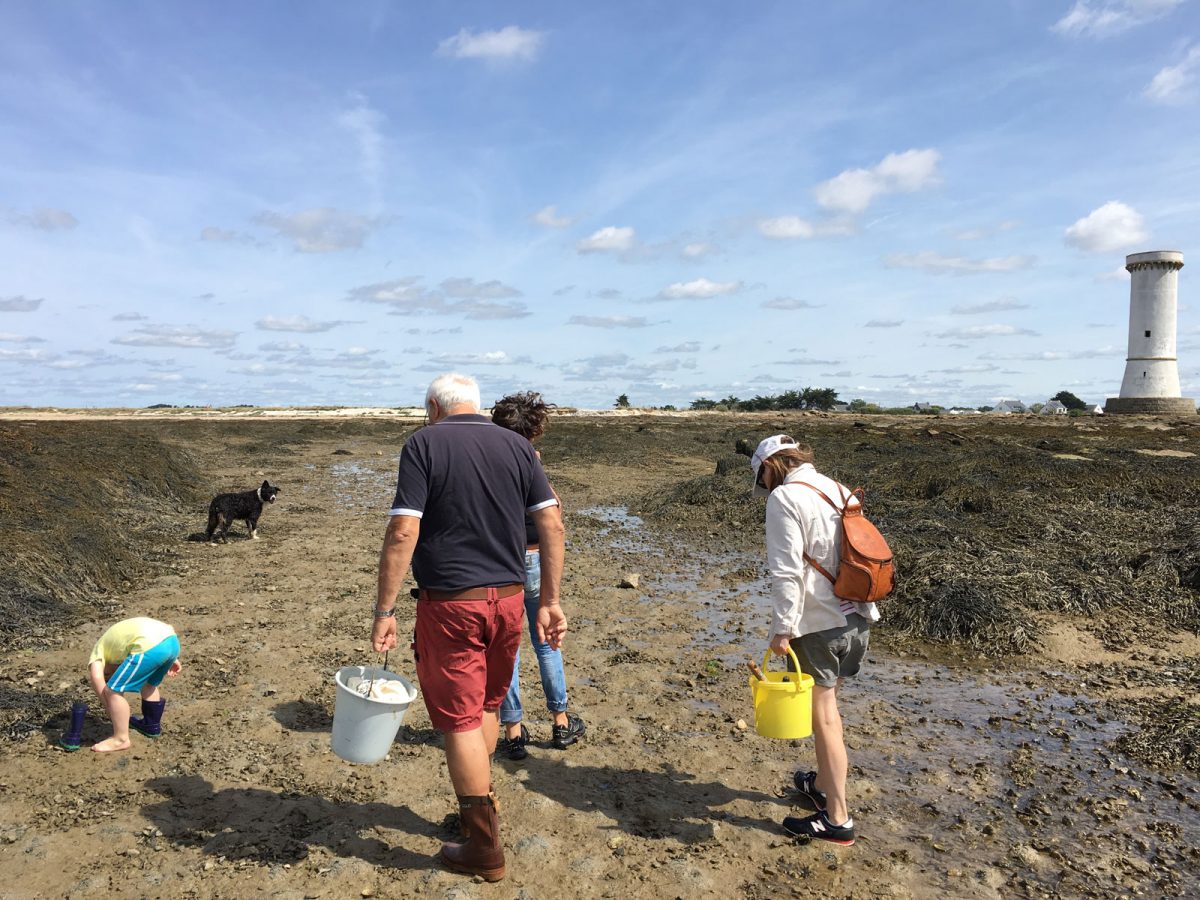 Sortie pêche à pied Damgan Morbihan
