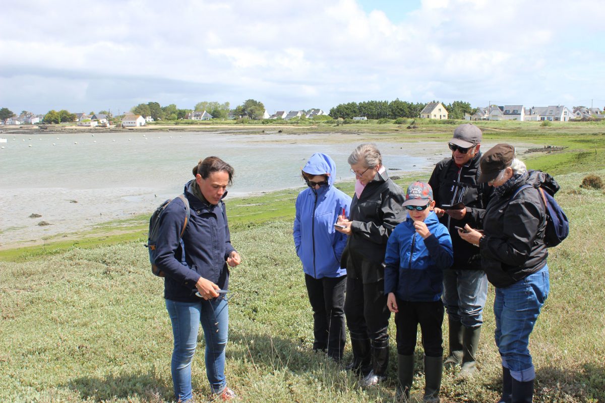 J'ai testé les plantes comestibles Damgan Morbihan