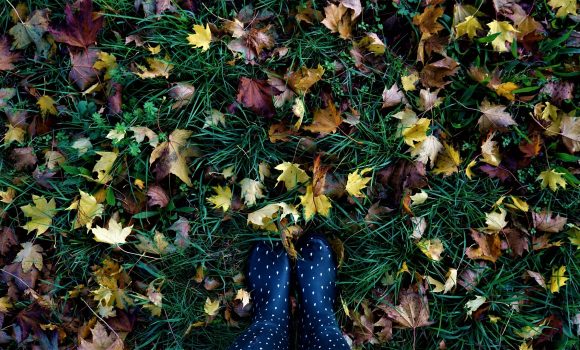 10 bonnes raisons de venir en automne