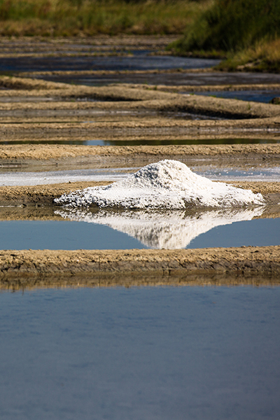Marrais salants Guérande