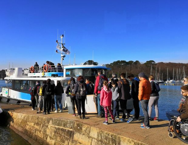 Bateaux-bus du Golfe