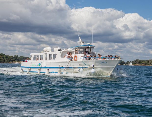 Bateaux-bus du Golfe