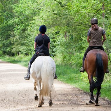 Circuits équestres