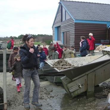 Visite d’un chantier ostreicole