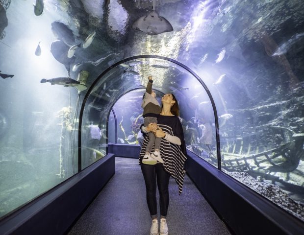 Océarium Le Croisic Loire Atlantique