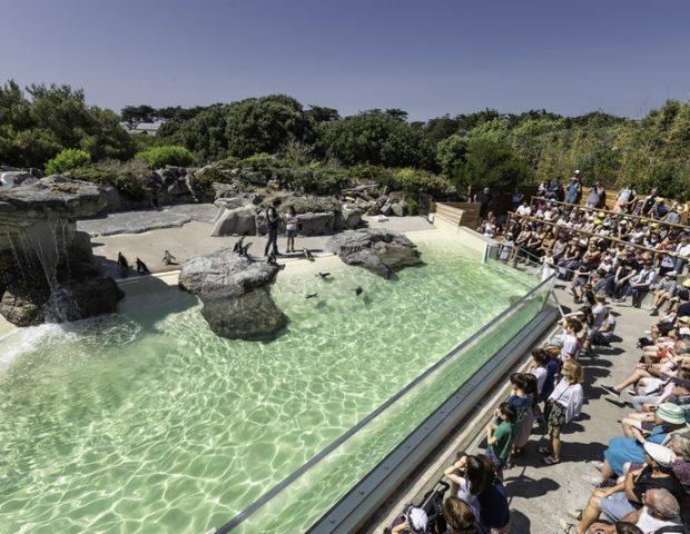 Océarium Le Croisic Loire Atlantique