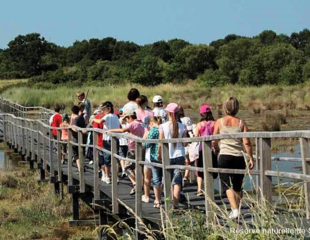 Réserve des marais de Séné Morbihan