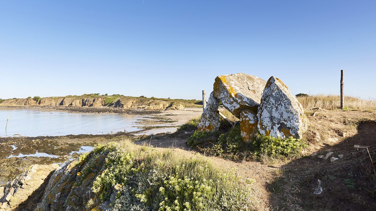 Dolmen du crapaud Billiers Morbihan