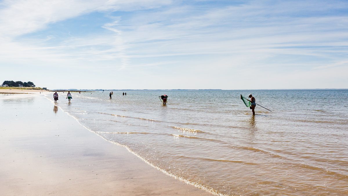 Peche à pied Damgan Morbihan