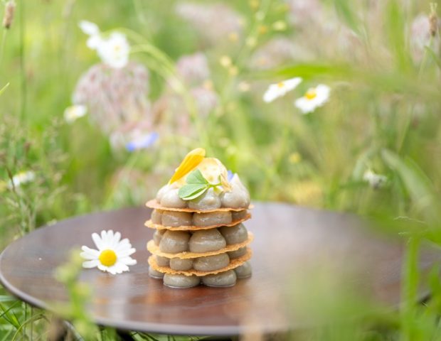 Les Jardins Sauvages La Gacilly Morbihan