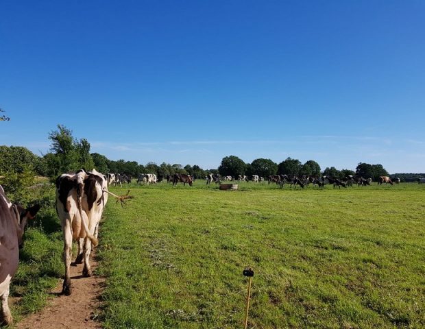 La Ferme de Kerbizien Noyal Muzillac Morbihan