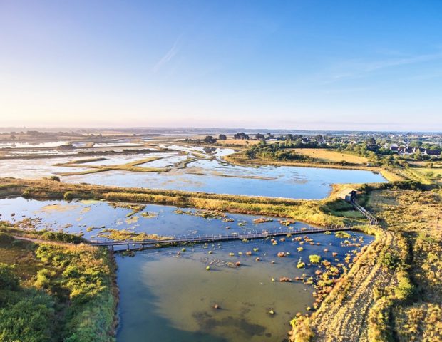 Réserve des marais de Séné Morbihan