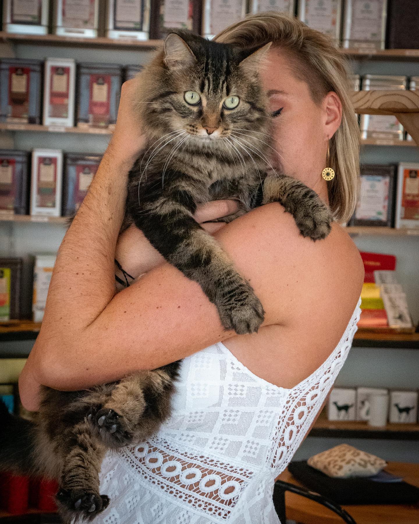 Bar A Chats Le Chat Zen A Pontchateau Damgan La Roche Bernard Tourisme Bar A Chats Le Chat Zen A Pontchateau Damgan La Roche Bernard Tourisme
