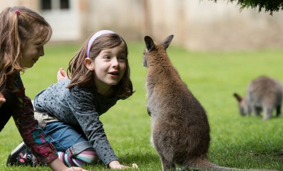 Activités insolites en Bretagne sud : notre top 5