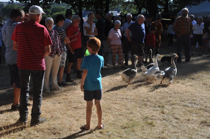 Fête de la nature Le 28 juil 2024