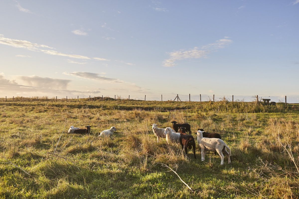 activites à faire dans le morbihan automne 