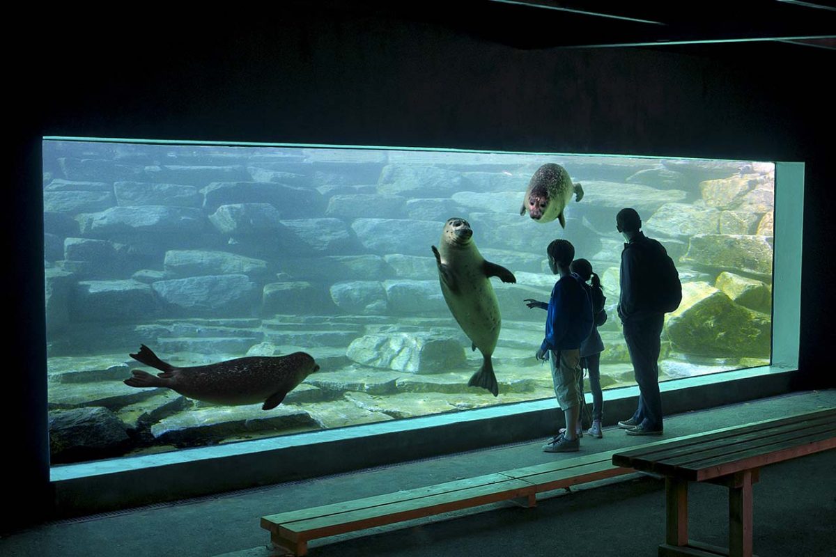 Aquarium du parc animalier de Branféré à Le Guerno
