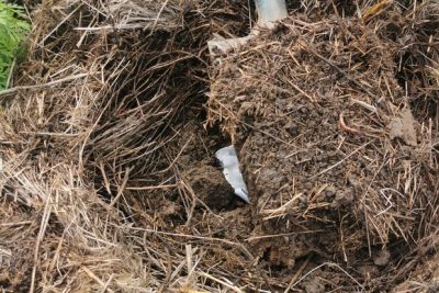 Atelier agronomie : « que se passe-t-il sous nos pieds ? »