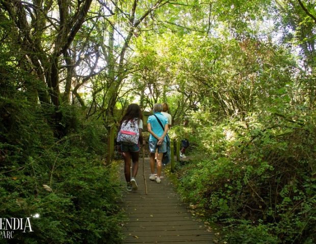 Légendia Parc – Frossay – Loire Atlantique