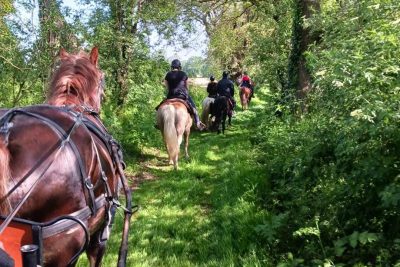 Rando cheval et promenade calèche