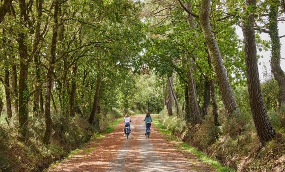 Circuit à vélo dans le Morbihan : notre sélection à tester ! 🚲