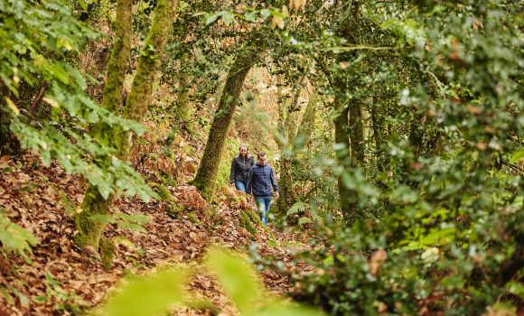 Week-end sportif en Bretagne Sud : nos idées pour se défouler