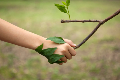Sophro Balade à Muzillac