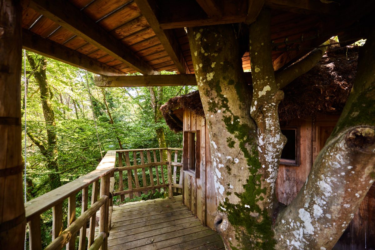 Une nuit en hébergement insolite : la solution pour des vacances dans la nature parfaites !