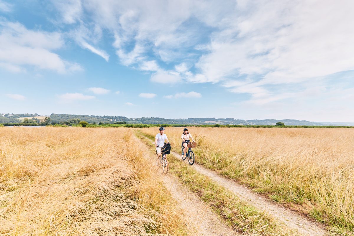 Admirez les paysages du Morbihan depuis votre vélo lors de vos vacances dans la nature !