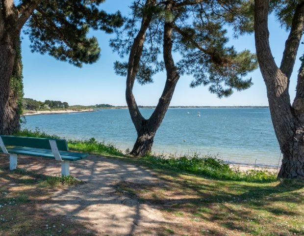 grand-plage-sauvage-banc-1