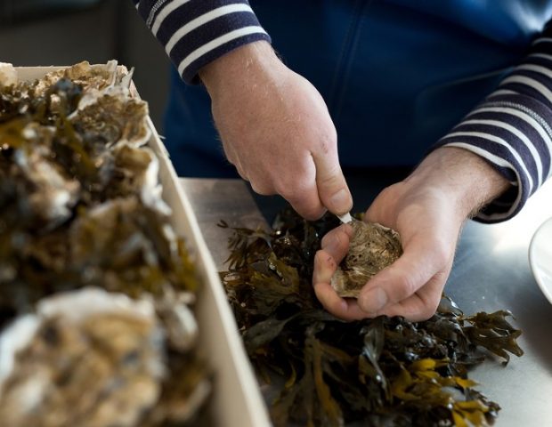 Hôtel Domaine de Rochevilaine Billiers Morbihan