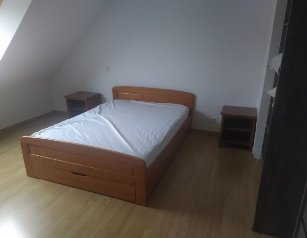 Location Le Bouquin François Damgan Morbihan