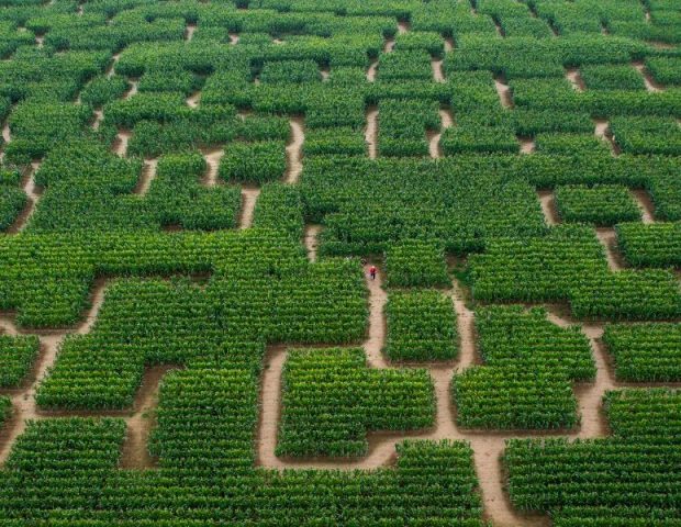Pop Corn Labyrinthe Sarzeau Morbihan