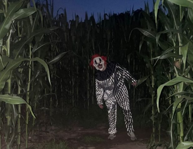 Pop Corn Labyrinthe Sarzeau Morbihan